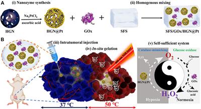 Progress and perspectives of platinum nanozyme in cancer therapy